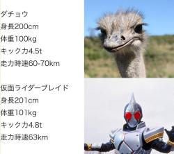 84 KB