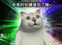74 KB