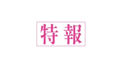 8544 KB