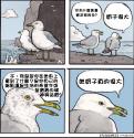 628 KB