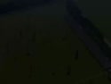 2139 KB