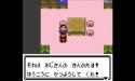 17 KB