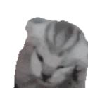 1612 KB