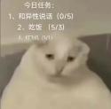 21 KB