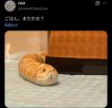118 KB