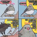 470 KB