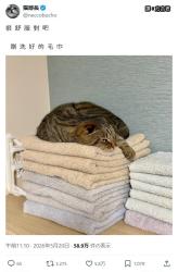 164 KB