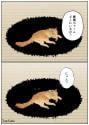 217 KB