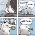 127 KB