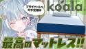 195 KB