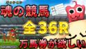 243 KB