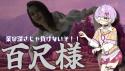 173 KB