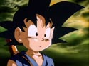 1739627646196.webm
