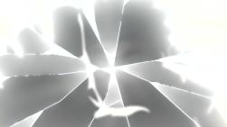 1740907101294.jpg