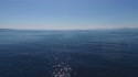 1742494848782.webm