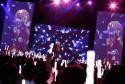 223 KB