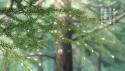 172 KB