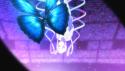 110 KB