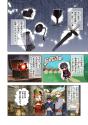 333 KB