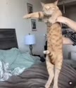 1775824204386.webm