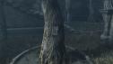 1776218855571.jpg